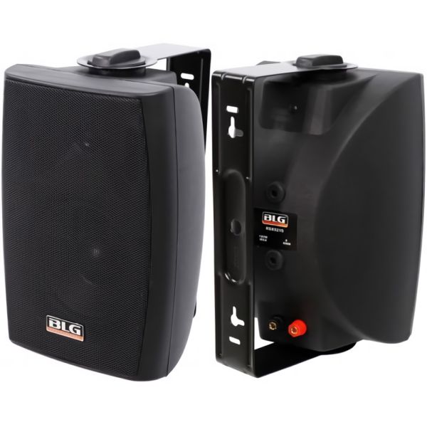 PARLANTE BLG RSX-6215 250W AMPLIFICADO 6 5